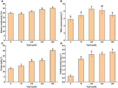 Growth, Physiological, and Photosynthetic Responses of Xanthoceras sorbifolium Bunge Seedlings Under Various Degrees of Salinity